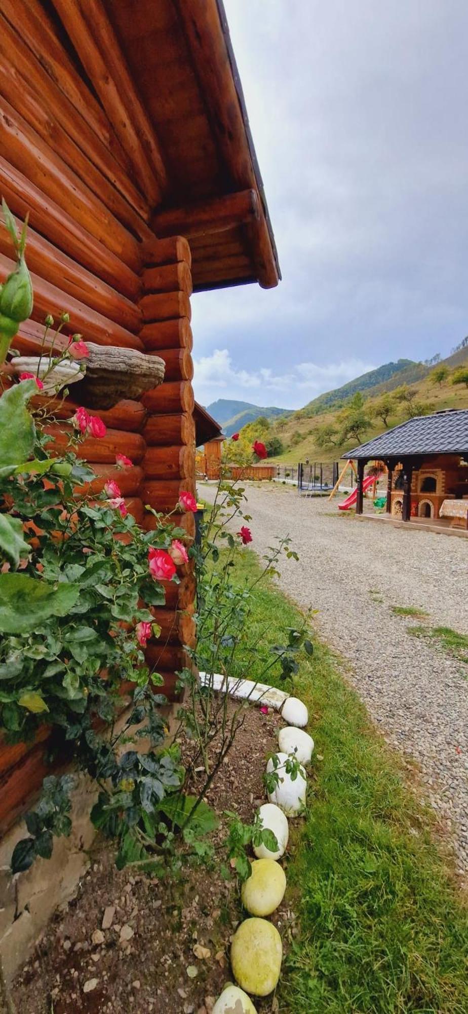 Pensiunea Suci Botiza Esterno foto