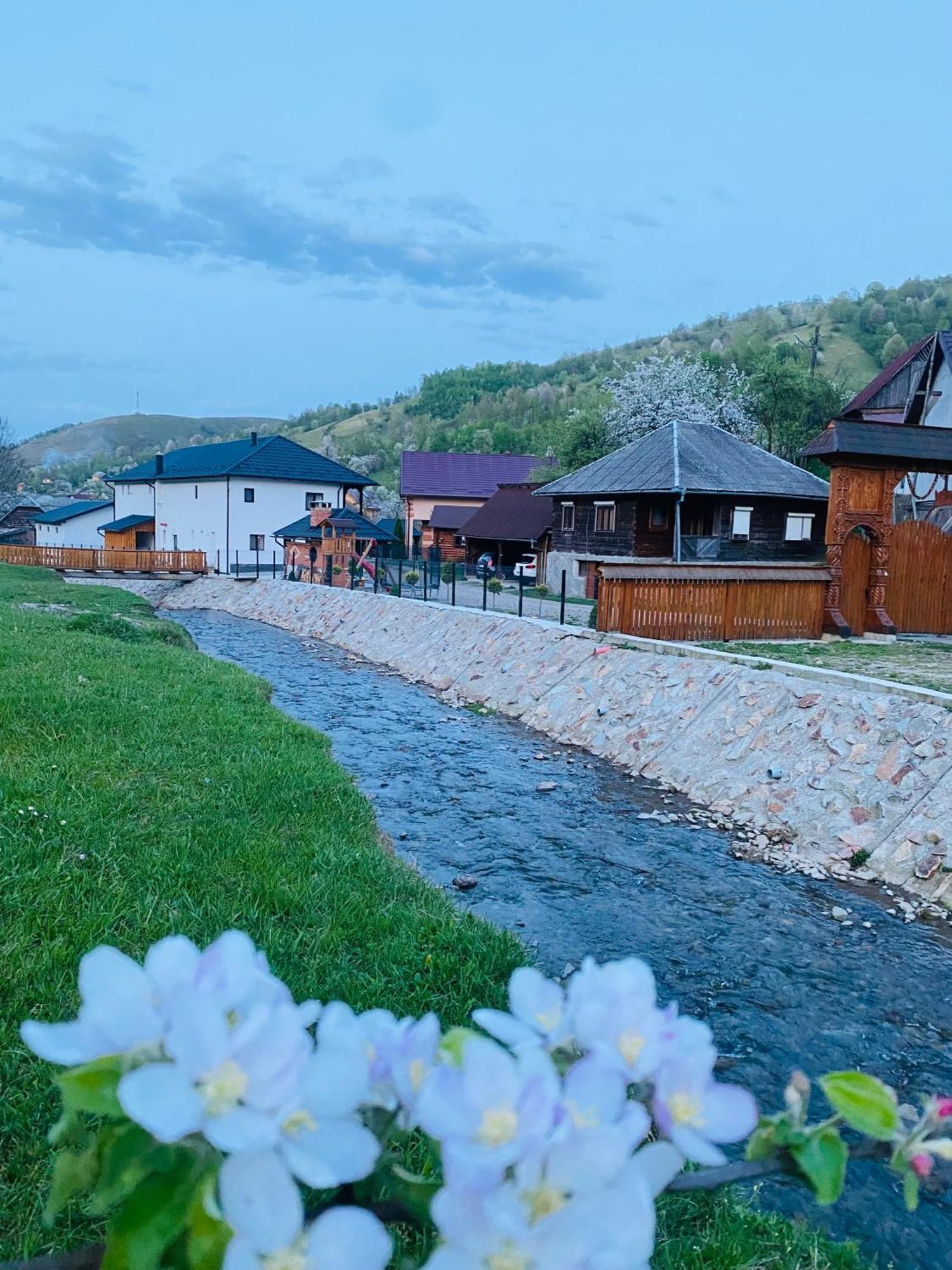 Pensiunea Suci Botiza Esterno foto