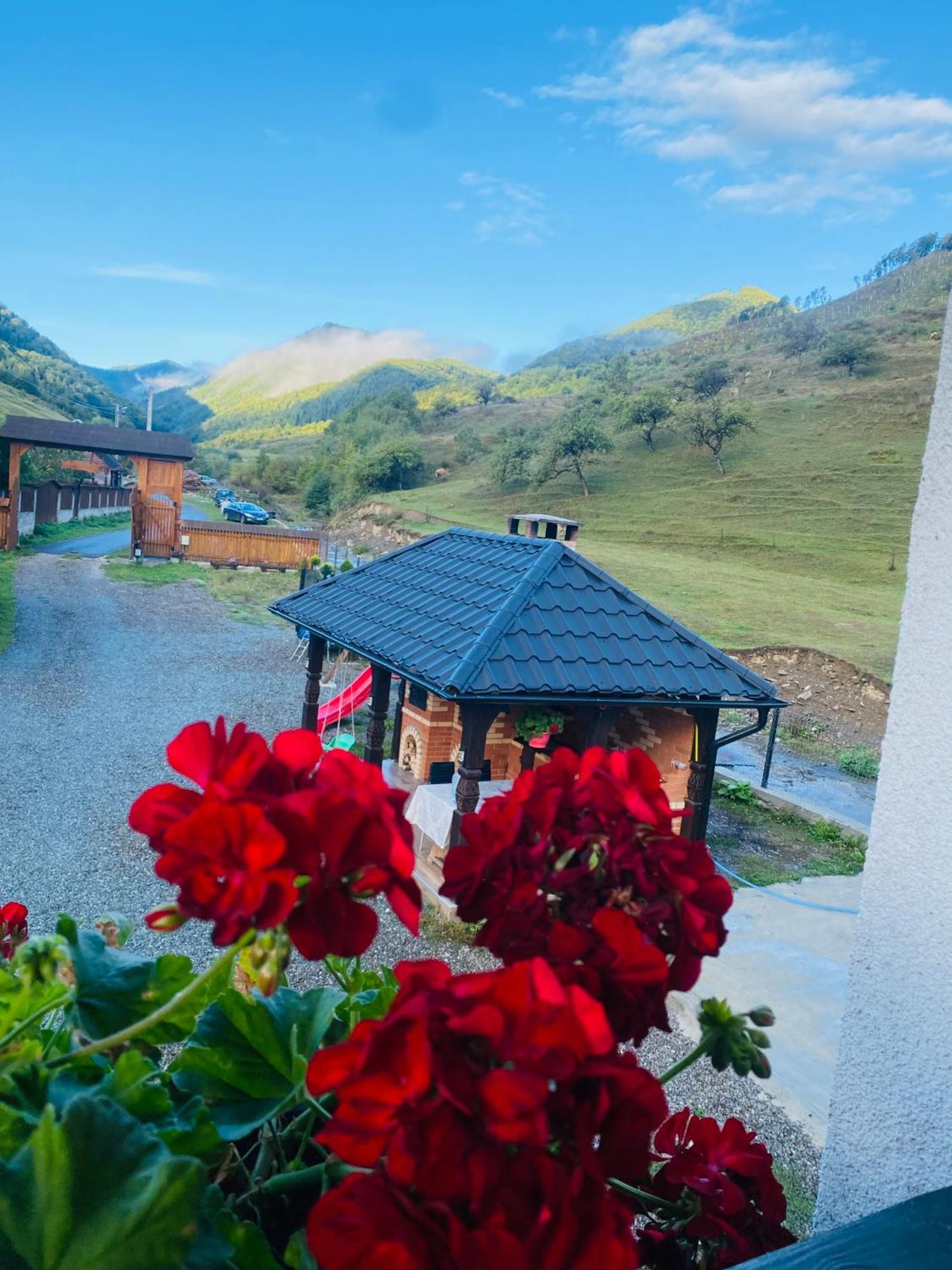 Pensiunea Suci Botiza Esterno foto