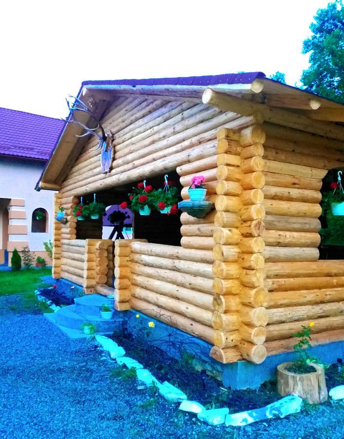 Pensiunea Suci Botiza Esterno foto